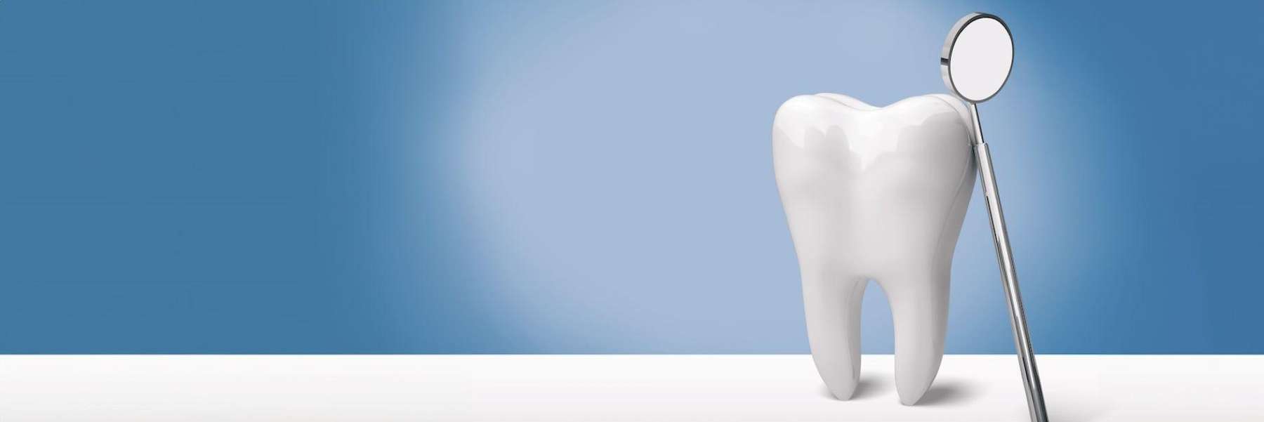 image of a tooth in coburg north